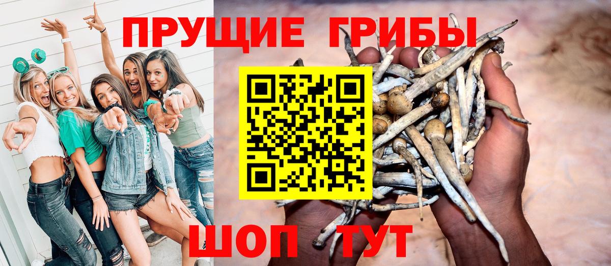 Шумерля  Галлюциногенные грибы Psilocybe  Вход с VPN 