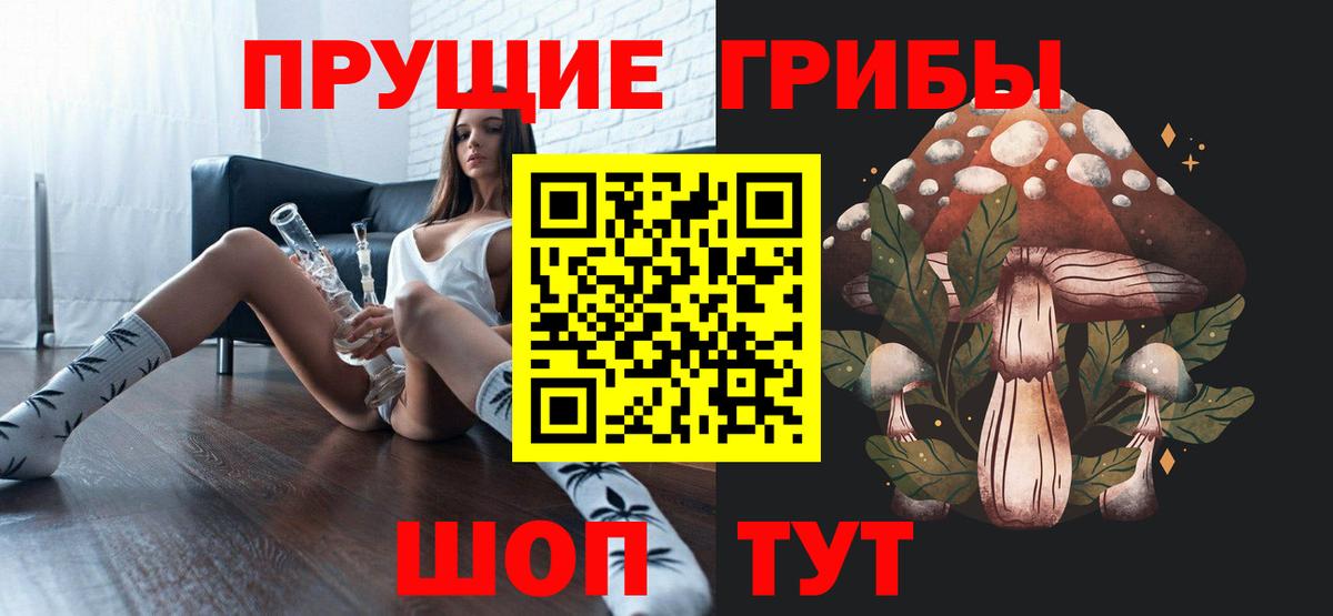 Галлюциногенные грибы Psilocybe Шумерля